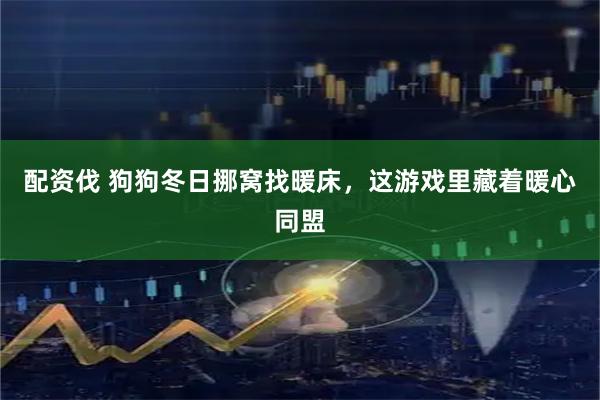 配资伐 狗狗冬日挪窝找暖床，这游戏里藏着暖心同盟