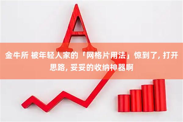 金牛所 被年轻人家的「网格片用法」惊到了, 打开思路, 妥妥的收纳神器啊